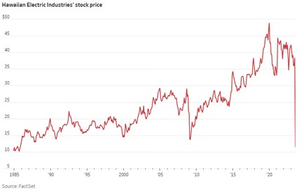 Hawaiian Electric and Bankruptcy